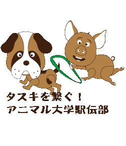 動物たちがタスキを渡すTシャツデザイン