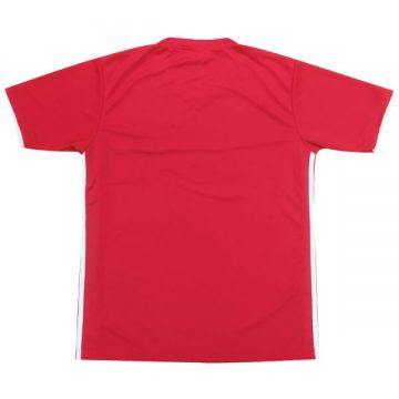 レプリカサッカーTシャツ　16.バイエルンミュンヘン②Back