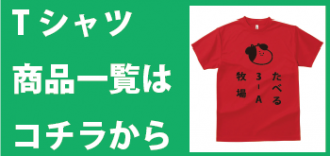 Tシャツ商品一覧はこちら