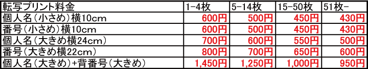 転写価格(クラスTシャツ)