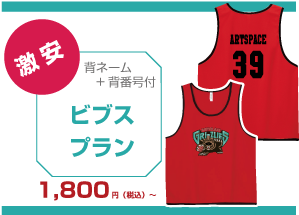 ビブス プラン