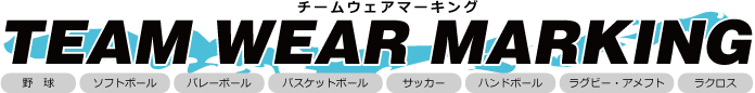 チームウェアマーキングバレーボール