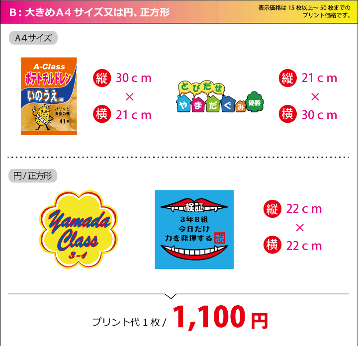 フルカラー大きめ
