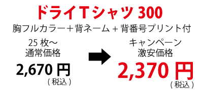 Tシャツカラー番号2