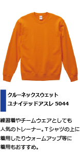 チームウェアに人気のトレーナー