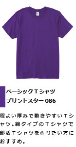 程よい厚みの綿タイプのＴシャツ