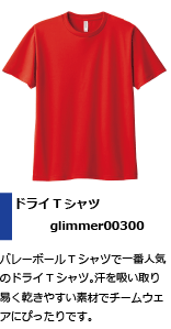 バレーＴシャツで一番人気のＴシャツ