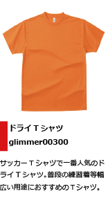 一番人気のドライＴシャツ