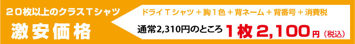 ベースボールプランドライTシャツ300