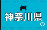 ご当地Tシャツ神奈川県