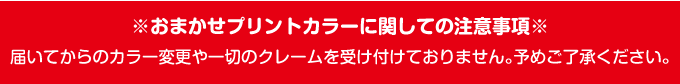 おまかせプリントカラー注意事項