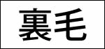 裏毛（パイル）
